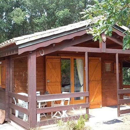Gite De Kate Albieres Exterior photo